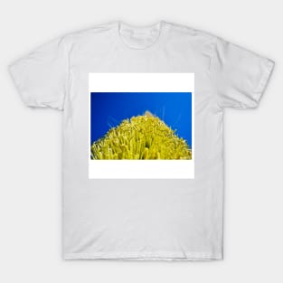 oaxaca pollen ecopop landscape photograph in mexico journey T-Shirt